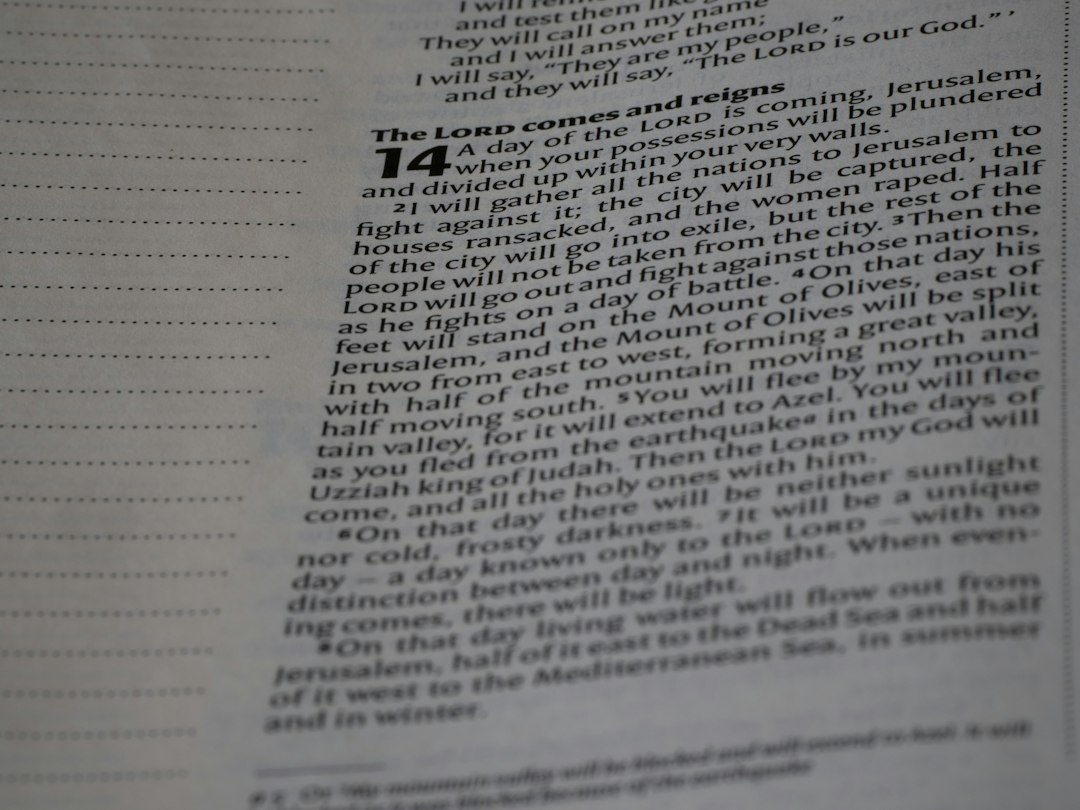 Direito Tributário: o que está em jogo em Infração 754-43: fraude na escrituração do livro de entrada e saída de veículos e de uso de placa de experiência