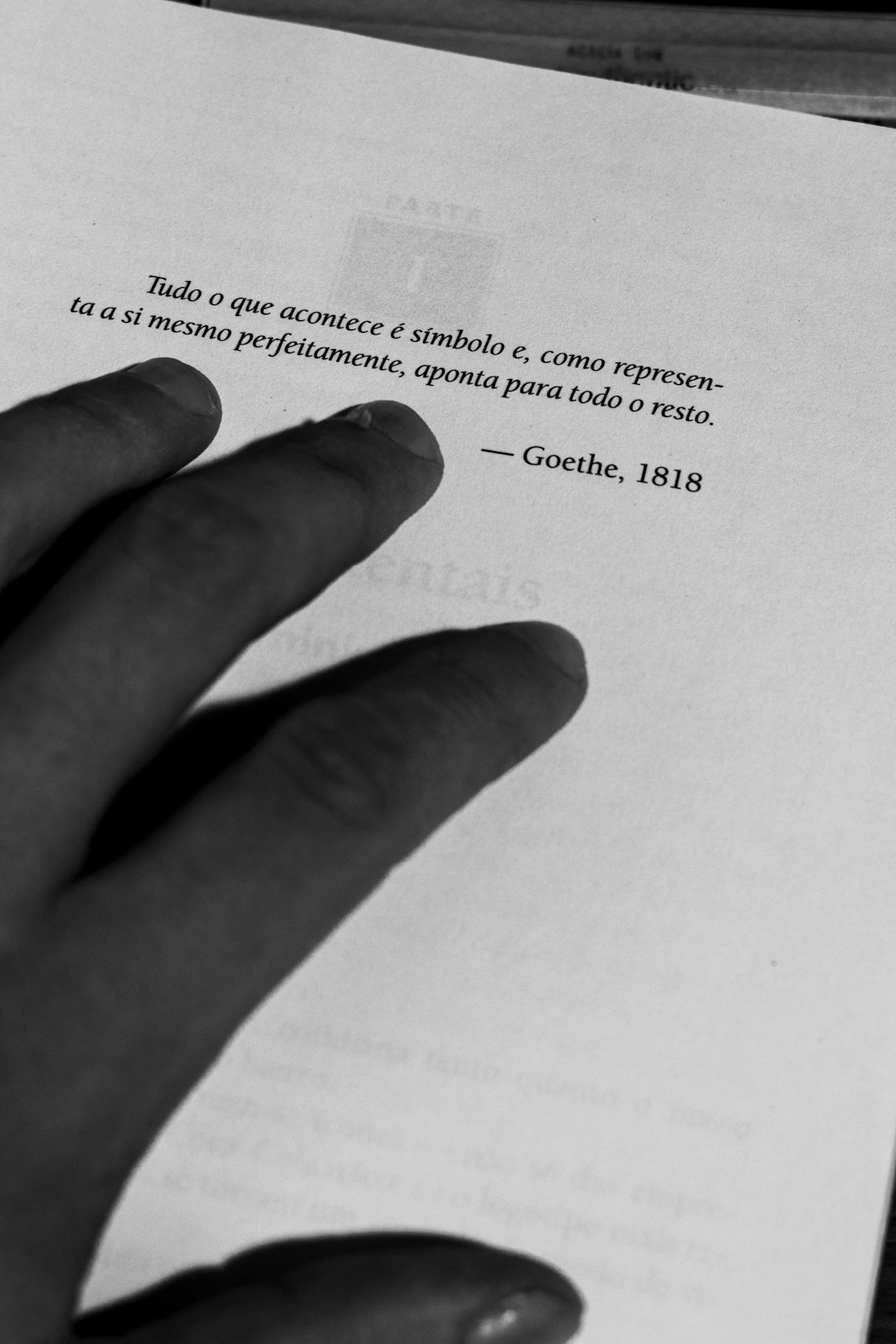 Direito e Administração Pública: o que está em jogo em Infração 754-42: atraso na escrituração do livro de entrada e saída de veículos e de uso de placa de experiência