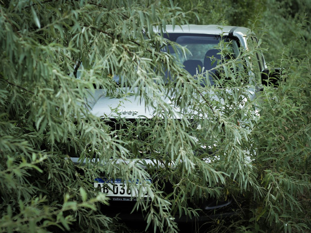 Jurisprudência e Instituições: o que está em jogo em Infração 683-12: transitar com veículo com excesso de peso por eixo
