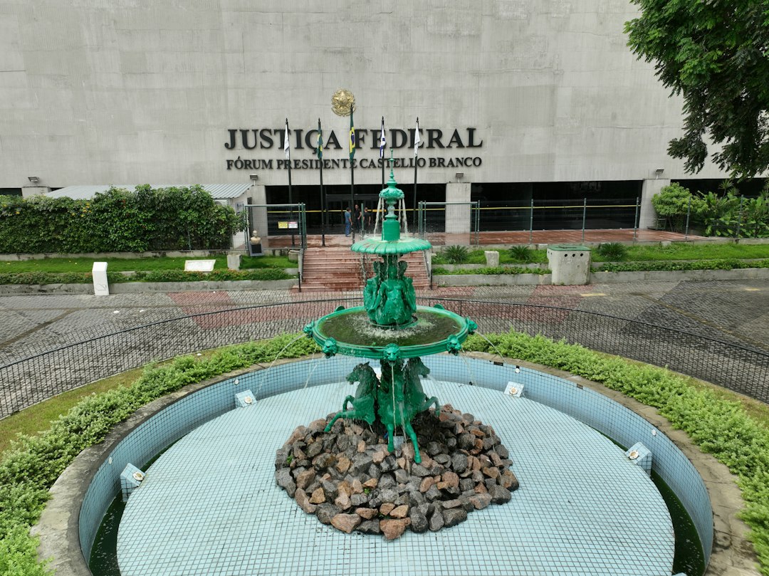 Jurisprudência e Instituições: o que está em jogo em Lei que limita número de animais de estimação em casa é inconstitucional