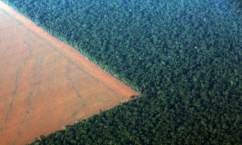Código Florestal restringe licenciamento ambiental de reservatórios