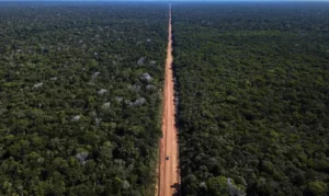 Direito do Trabalho e Previdenciário: o que está em jogo em Decisão mantém demarcação de terra indígena de 1,1 milhão de hectares