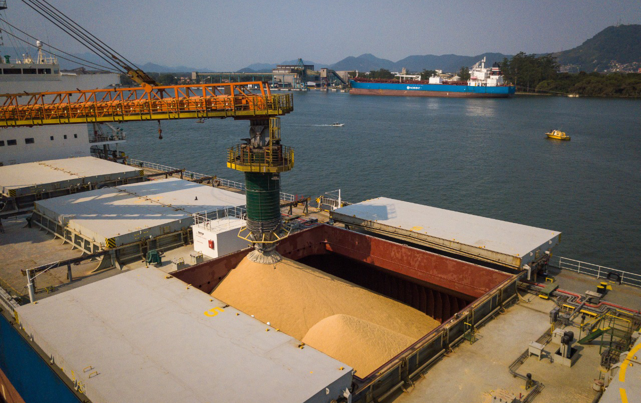 Direito e Administração Pública: o que está em jogo em TCU vê falha da Antaq em aferir custo de terminal no Porto de Santos