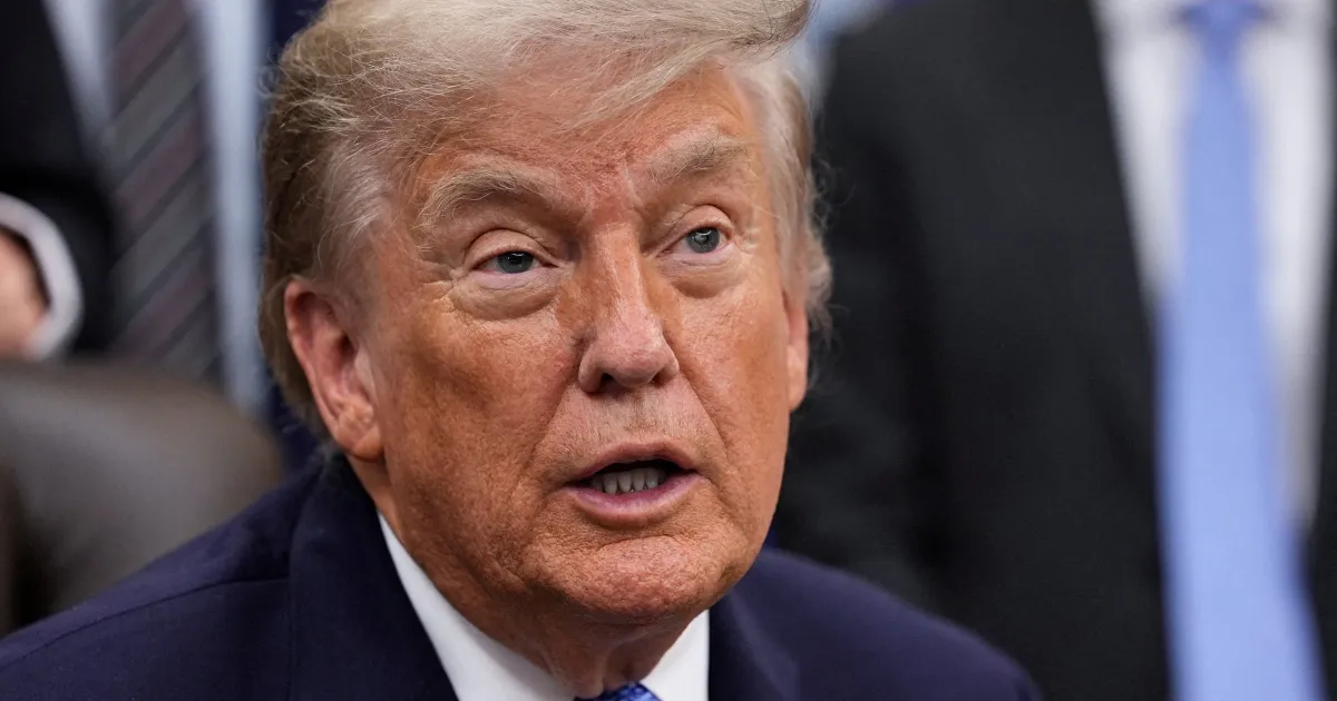 Política Institucional: o que está em jogo em Trump atribui vitória eleitoral da AfD na Alemanha a políticas de imigração